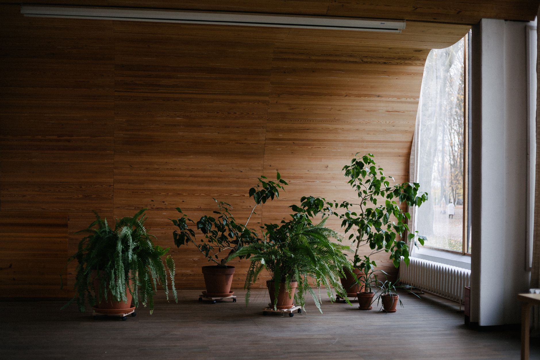 Maceta con planta verde en sala de estar decoración nórdica