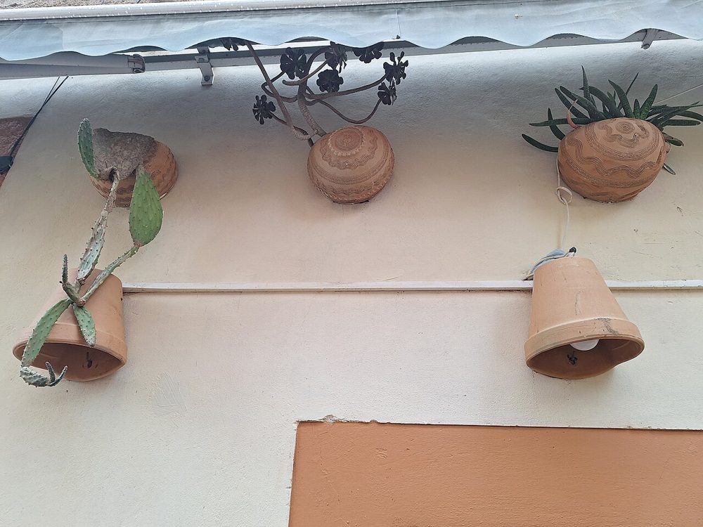 Macetas de barro colgantes con suculentas