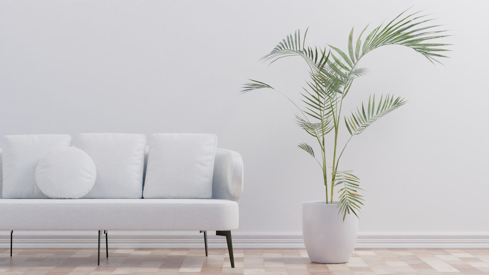 Palmera Areca en sal&oacute;n con luz indirecta brillante, planta de interior tropical