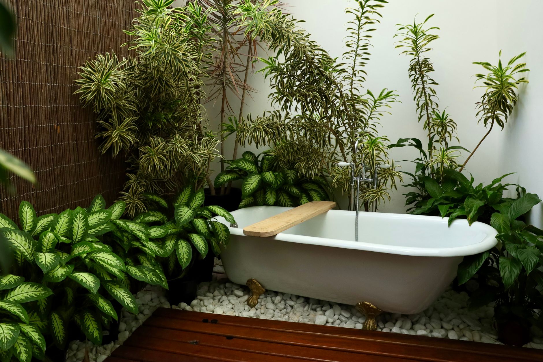 Planta tropical verde en baño moderno con mucha humedad