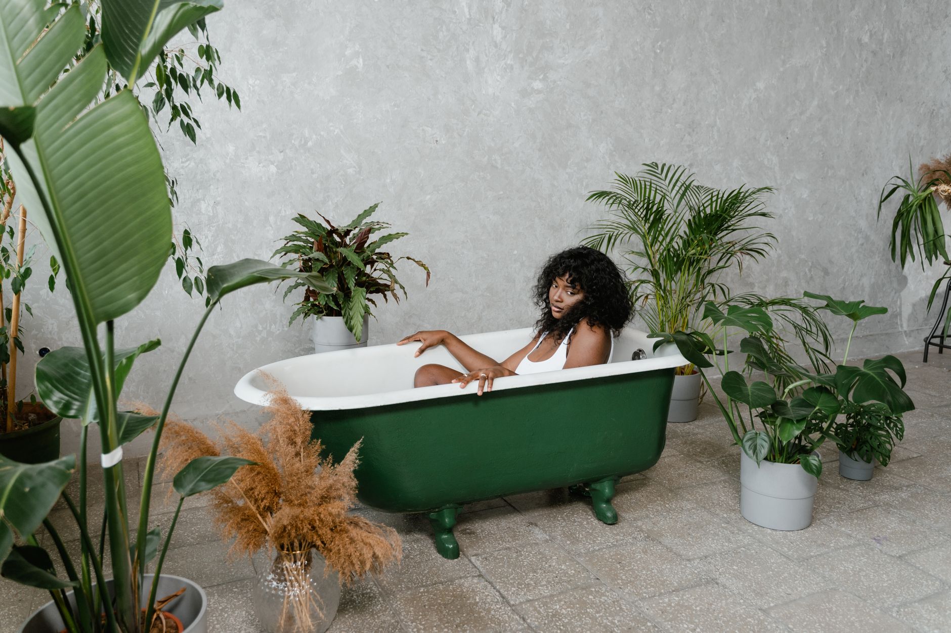 Helecho frondoso decorando un baño interior con mucha humedad